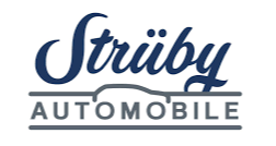 Strüby Automobile AG, Brunnen